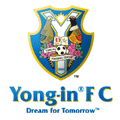 龙仁FC logo