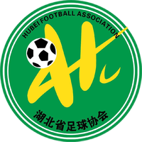 湖北U20 logo